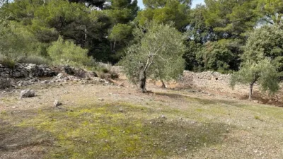 House in El Burgo photo 35