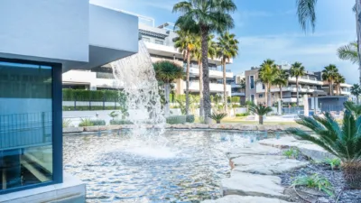 Piso en Playa Flamenca photo 4