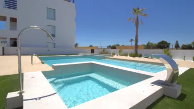 Pis - Vista 2