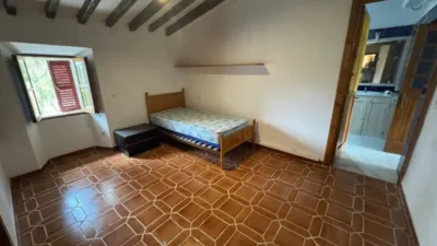 Rustic Finca in Establiments photo 31