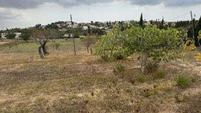 Rustic Finca in Establiments photo 37