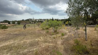 Rustic Finca in Establiments photo 38