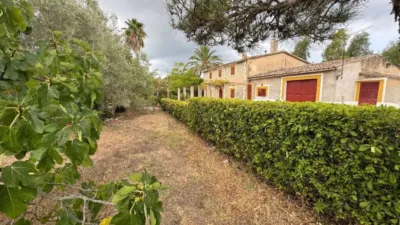 Rustic Finca in Establiments photo 3