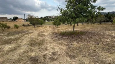 Rustic Finca in Establiments photo 40