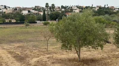 Rustic Finca in Establiments photo 43
