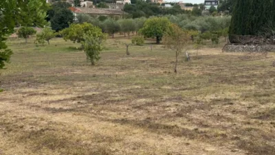 Rustic Finca in Establiments photo 45