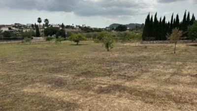 Rustic Finca in Establiments photo 46