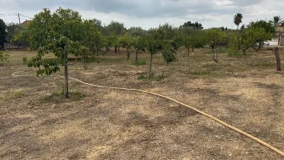Rustic Finca in Establiments photo 47