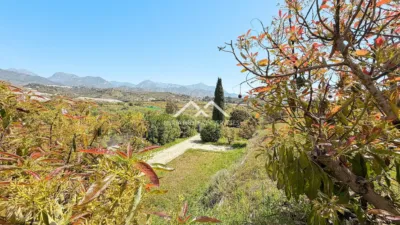 House in , Beach Area, Near the Sea, In the Countryside, Residential Area, Close to the Town photo 46