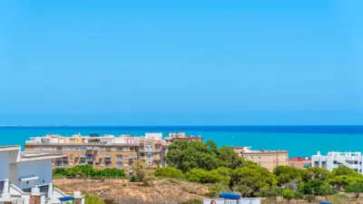 Villa in Guardamar del Segura photo 50