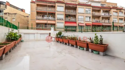 Apartment on Carrer d'Ignasi Iglesias photo 25