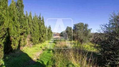 Piso – Moraira - Vista 5
