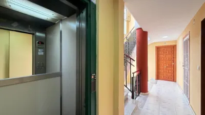 Apartment in Torrevieja photo 25
