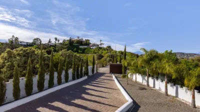 Rustic Finca in Centro photo 28