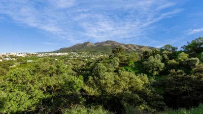 Rustic Finca in Centro photo 31