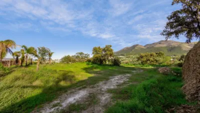 Rustic Finca in Centro photo 33