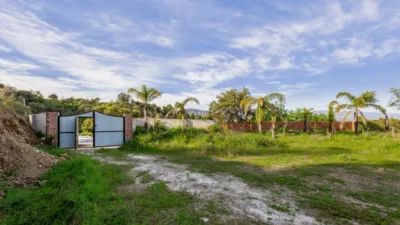 Rustic Finca in Centro photo 34