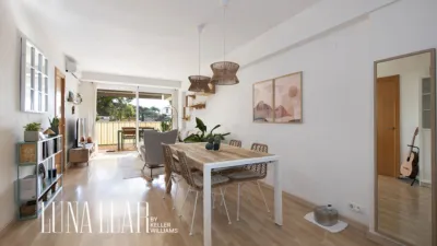 Apartment in El Poal photo 4