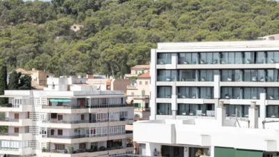 Apartment in Son Armadans photo 41