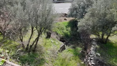 Rustic Finca in Entrada Al Pueblo photo 17