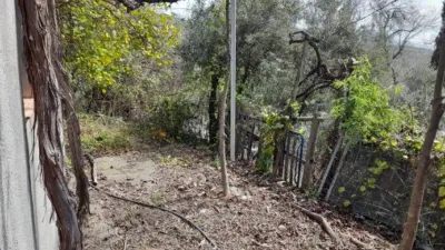Rustic Finca in Entrada Al Pueblo photo 19