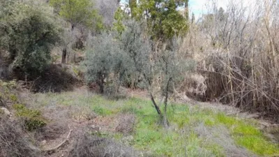Rustic Finca in Entrada Al Pueblo photo 20