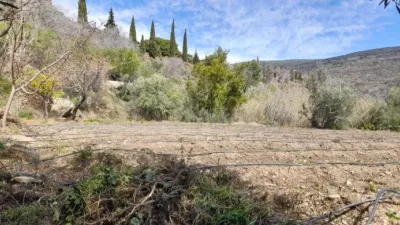 Rustic Finca in Entrada Al Pueblo photo 22