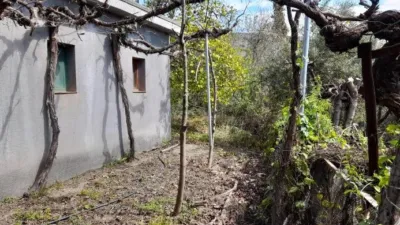 Rustic Finca in Entrada Al Pueblo photo 24