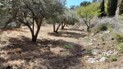 Rustic Finca in Entrada Al Pueblo photo 28