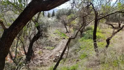 Rustic Finca in Entrada Al Pueblo photo 30