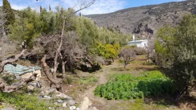 Rustic Finca in Entrada Al Pueblo photo 31
