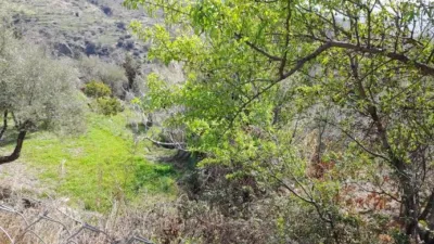 Rustic Finca in Entrada Al Pueblo photo 32