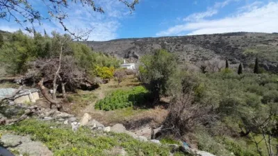 Rustic Finca in Entrada Al Pueblo photo 33