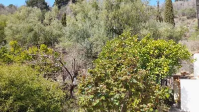 Rustic Finca in Entrada Al Pueblo photo 34