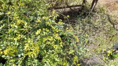 Rustic Finca in Entrada Al Pueblo photo 35