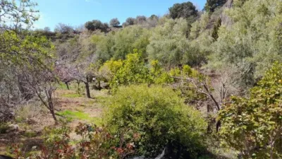 Rustic Finca in Entrada Al Pueblo photo 36