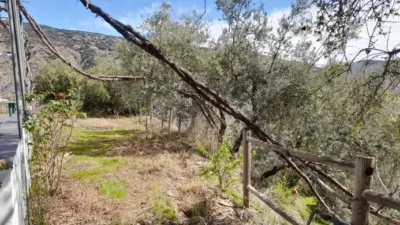 Rustic Finca in Entrada Al Pueblo photo 39