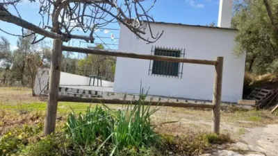 Rustic Finca in Entrada Al Pueblo photo 6