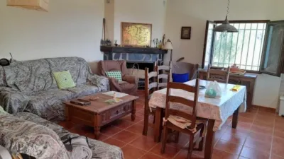 Rustic Finca in Entrada Al Pueblo photo 10