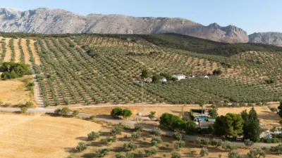 Rustic finca at Es:1 Pl:00 Pt:01 Polígono 132 Parcela 20 Llano Esp photo 7