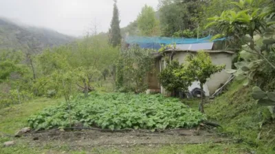 Rustic Finca in Salida Hacia Mairena photo 11