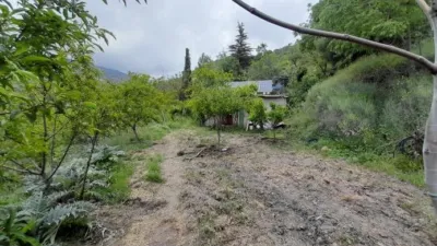 Rustic Finca in Salida Hacia Mairena photo 12