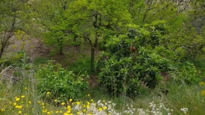 Rustic Finca in Salida Hacia Mairena photo 14