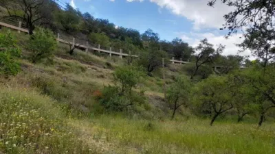 Rustic Finca in Salida Hacia Mairena photo 17