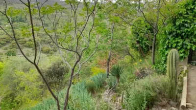 Rustic Finca in Salida Hacia Mairena photo 18