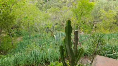 Rustic Finca in Salida Hacia Mairena photo 19