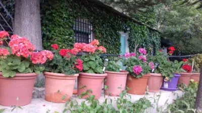 Rustic Finca in Salida Hacia Mairena photo 4