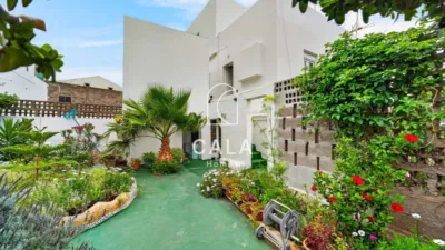 House on Icod-Buenavista Street photo 54