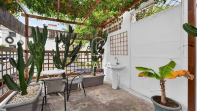 House on Icod-Buenavista Street photo 6