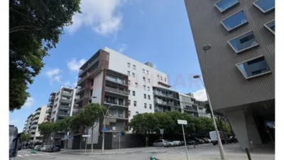 Apartment on Carrer de Joana Raspall photo 15